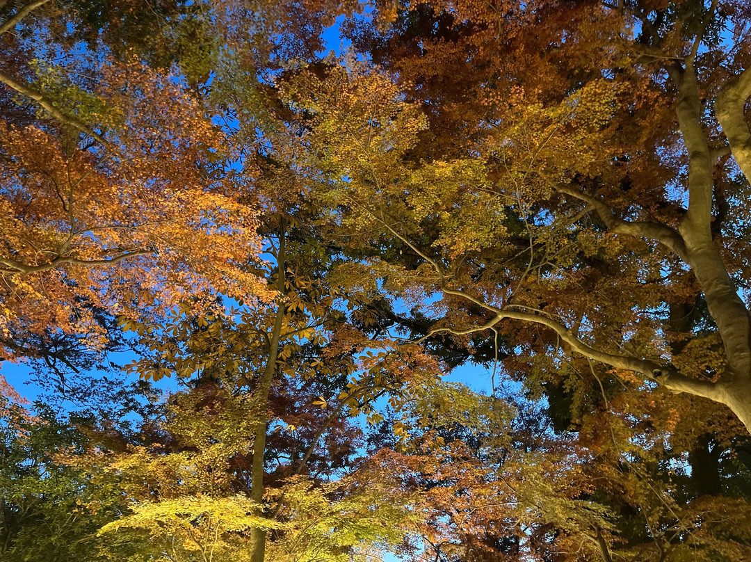 Suzumenomiya Park-寄居町必去景点