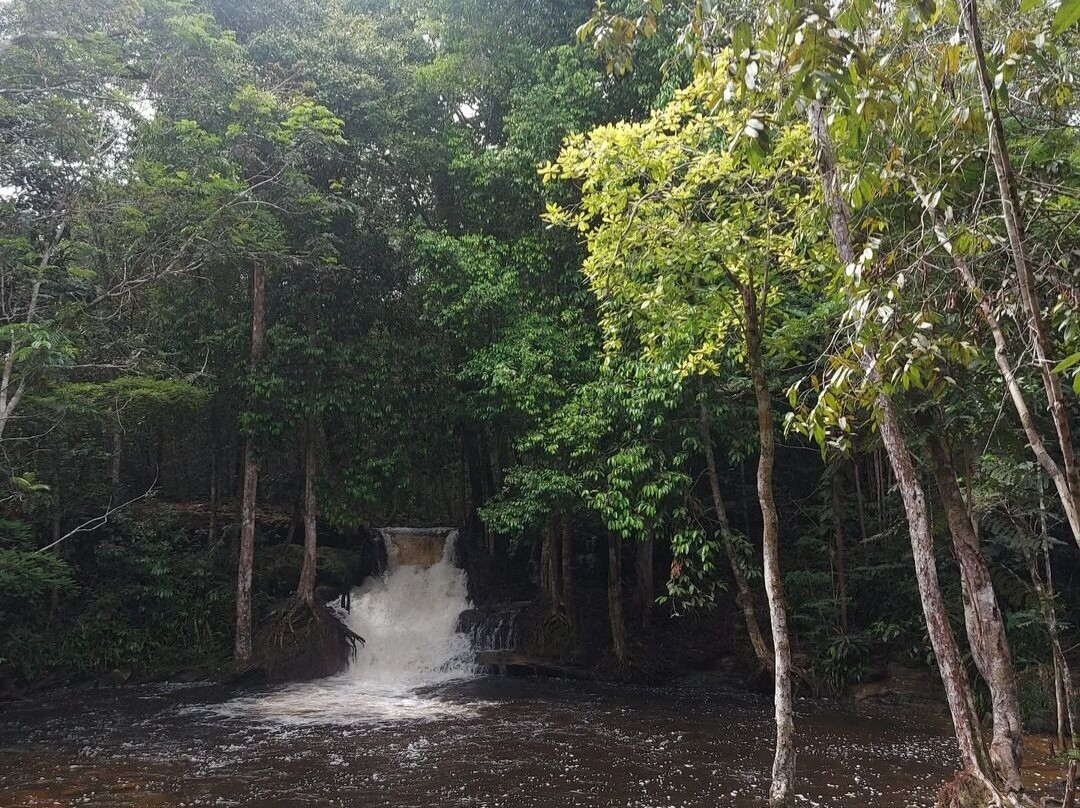 Cachoeira das Orquideas-Presidente Figueiredo必去景点