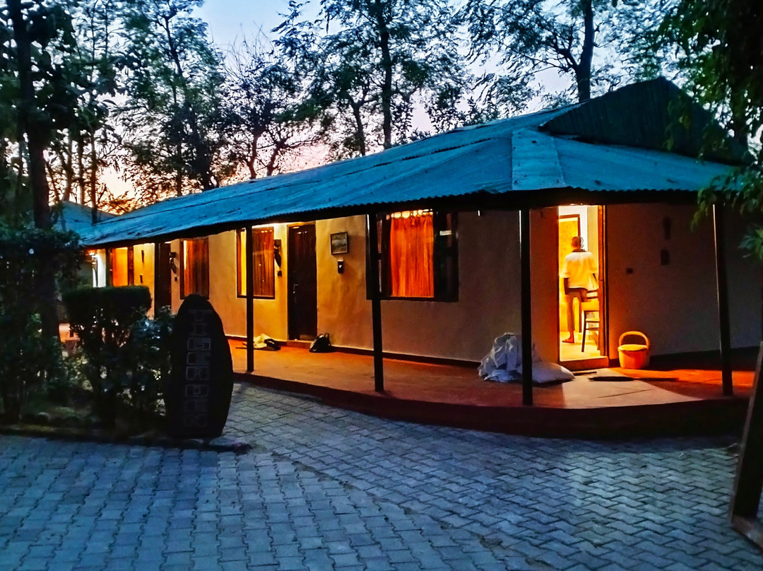 Ashoka Tiger Trail主图