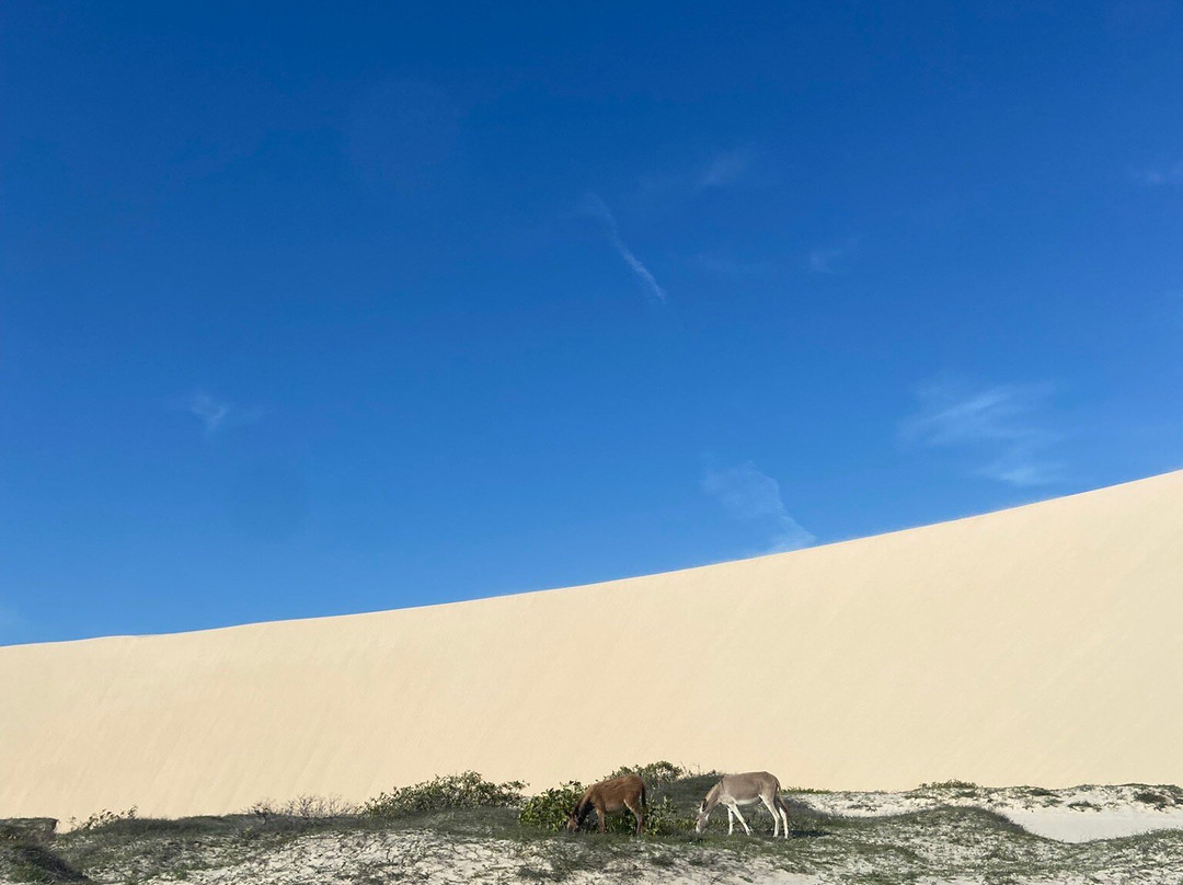 Bugue Tour Jeri-杰里科科拉必去景点