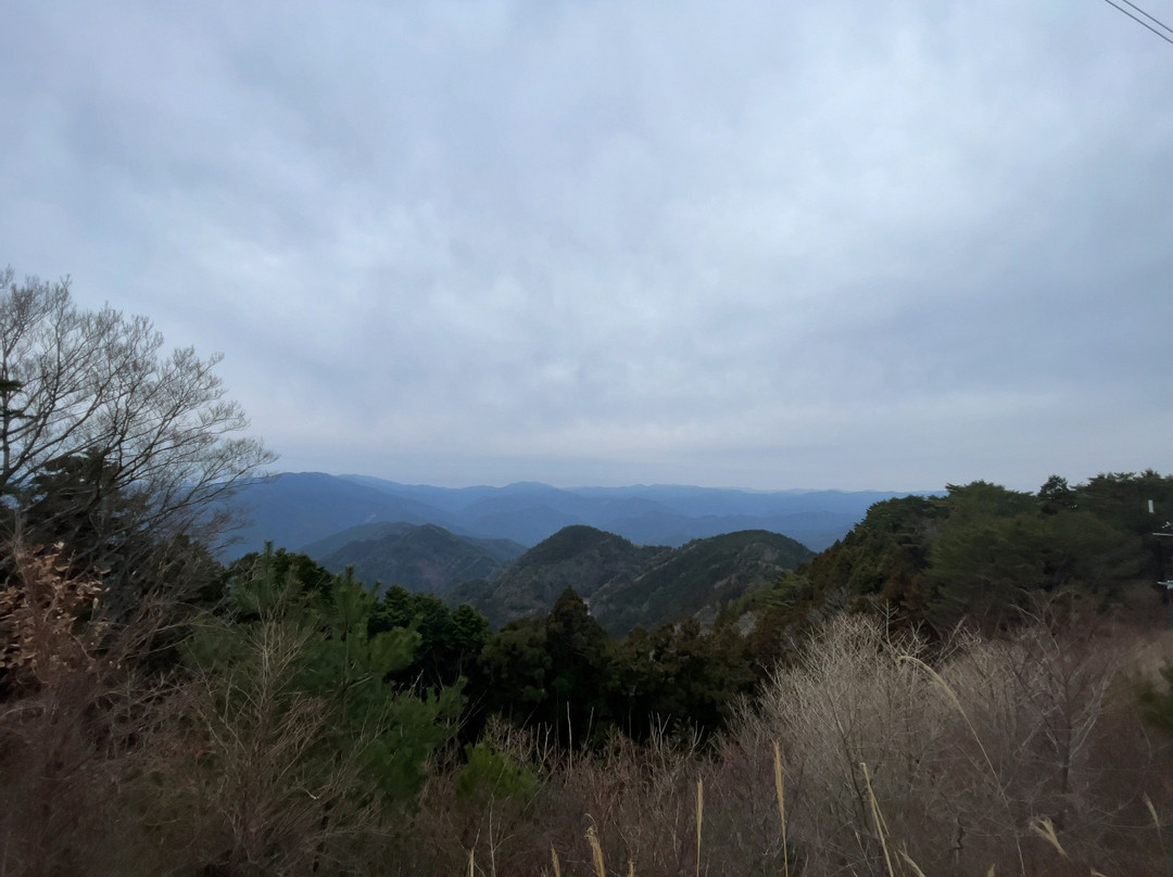 Tamakiyama景点图片
