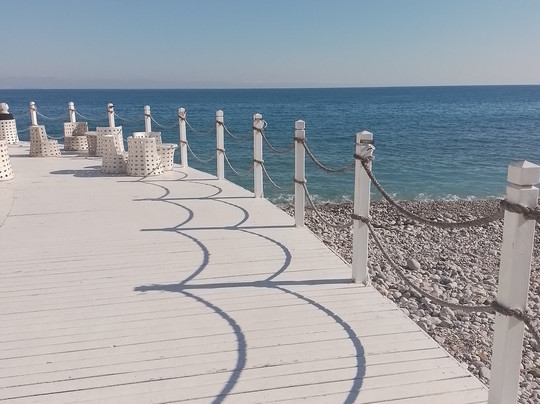 Paloma Foresta主图