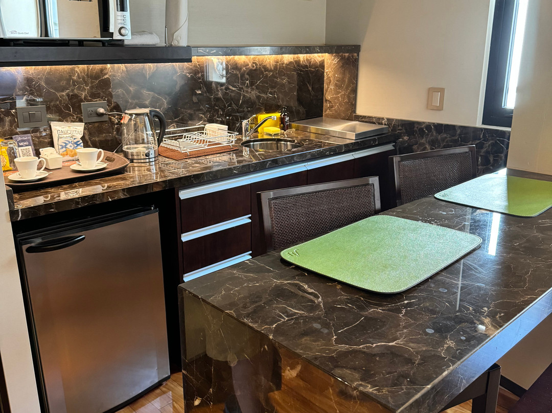 Esplendor by Wyndham Buenos Aires Tango主图