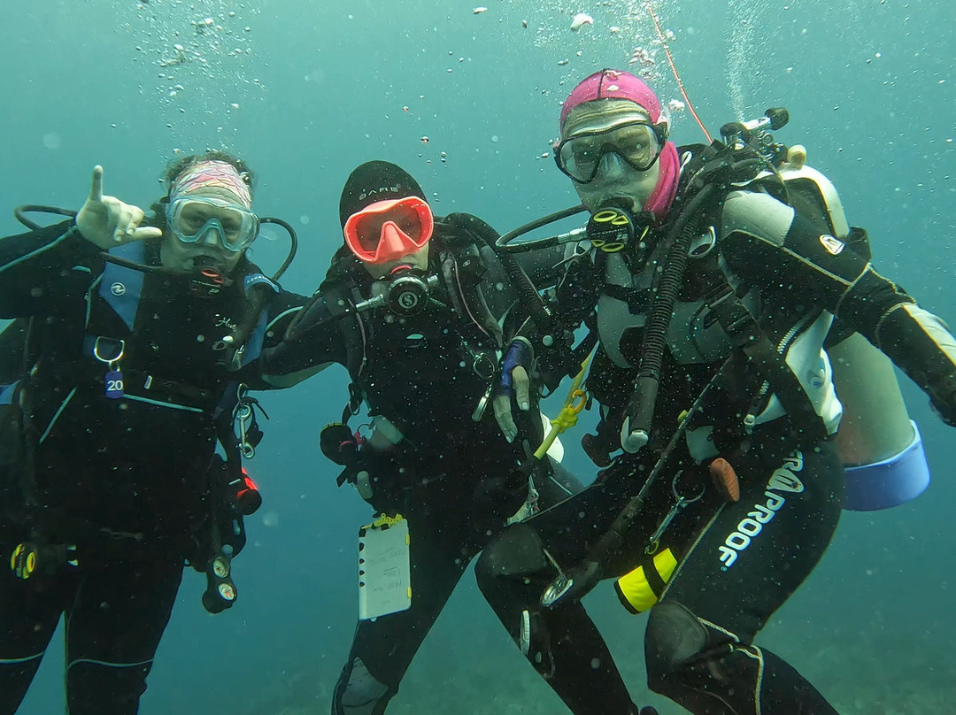 Scuba Steph Instructor-庞帕诺比奇必去景点