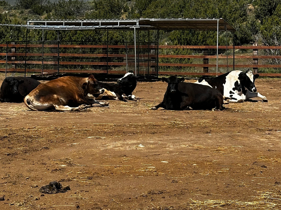 Farm Sanctuary景点图片