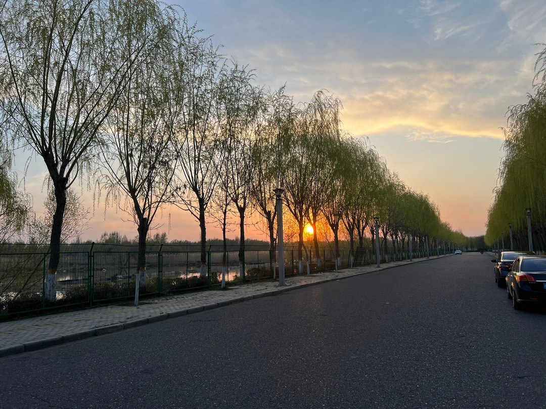 伊宁城市海景公园-伊宁县必去景点