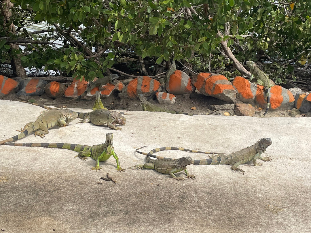 Movements Taxi Service-Cole Bay必去景点