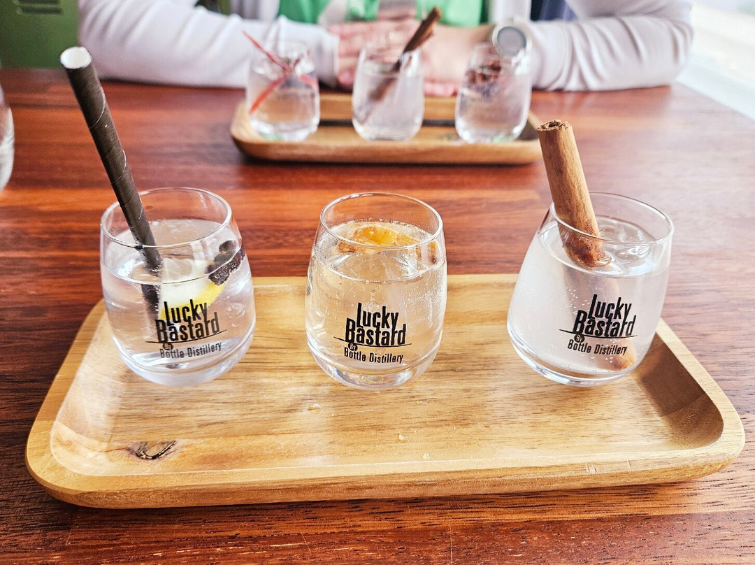 Bottle Distillery-埃因霍温必去景点