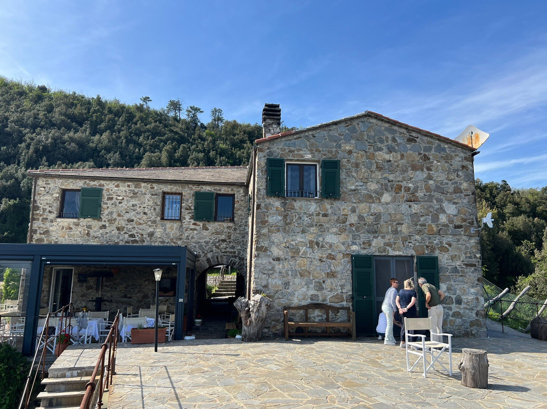 Agriturismo degli Olivi主图