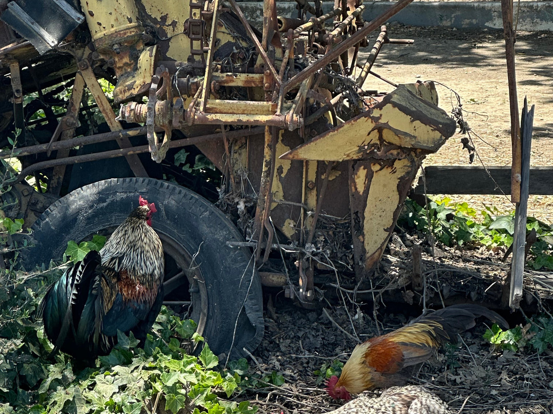 Casa de Fruta 小木屋, 旅馆 & 房车公园主图