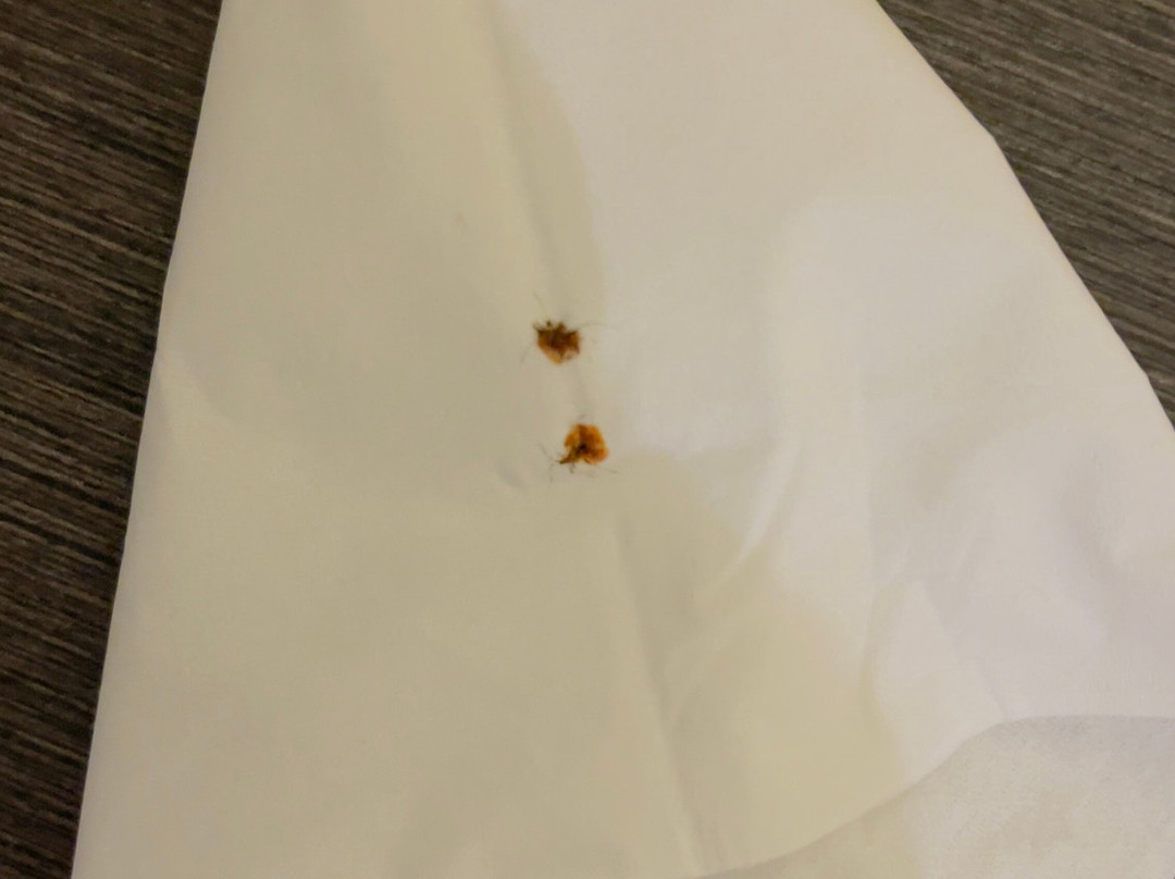 Hotel JAL City Nagoya Nishiki主图