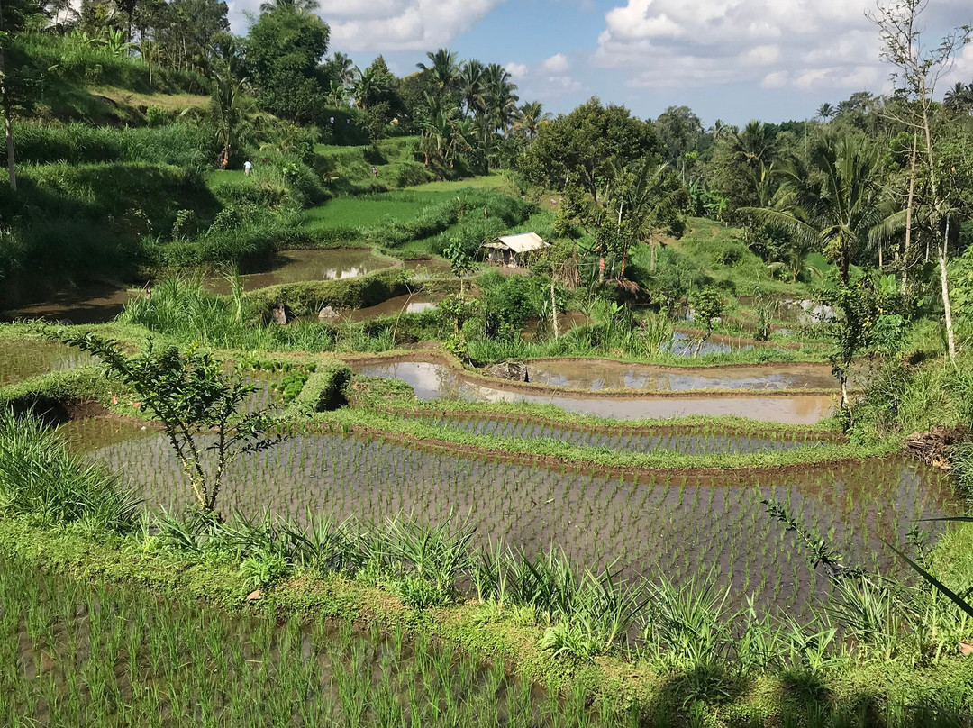 Tetebatu Indah Homestay主图