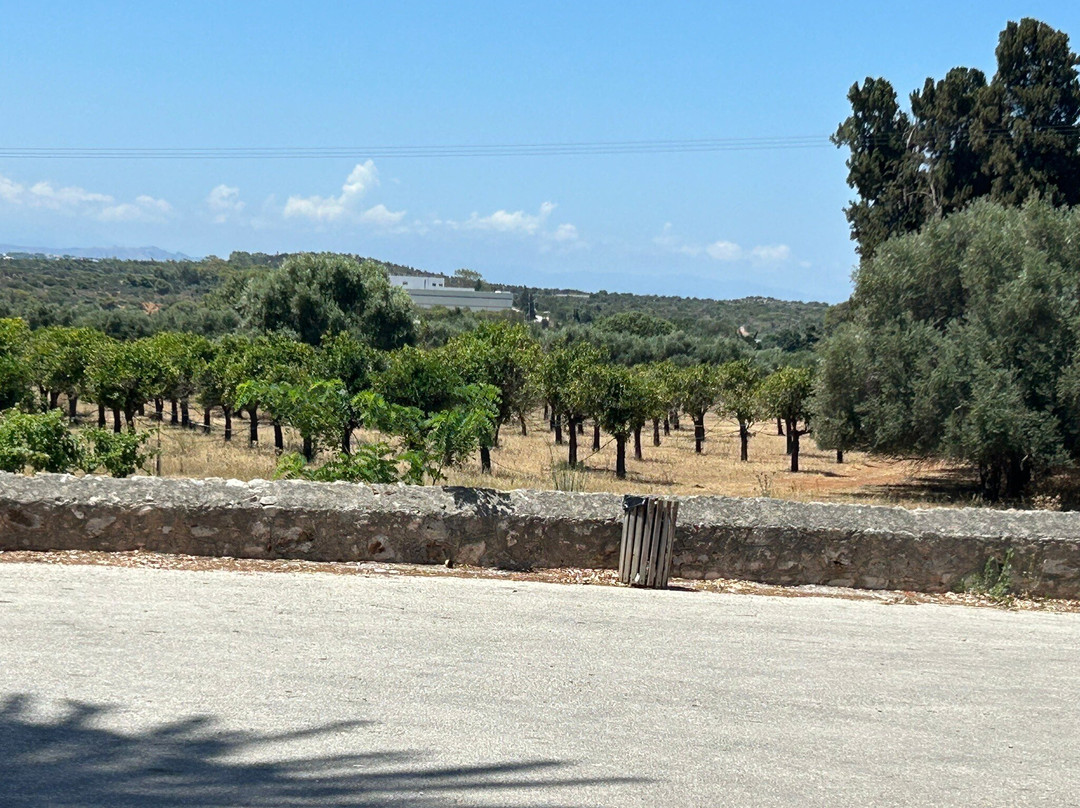 Vinolio Creta Ltd景点图片