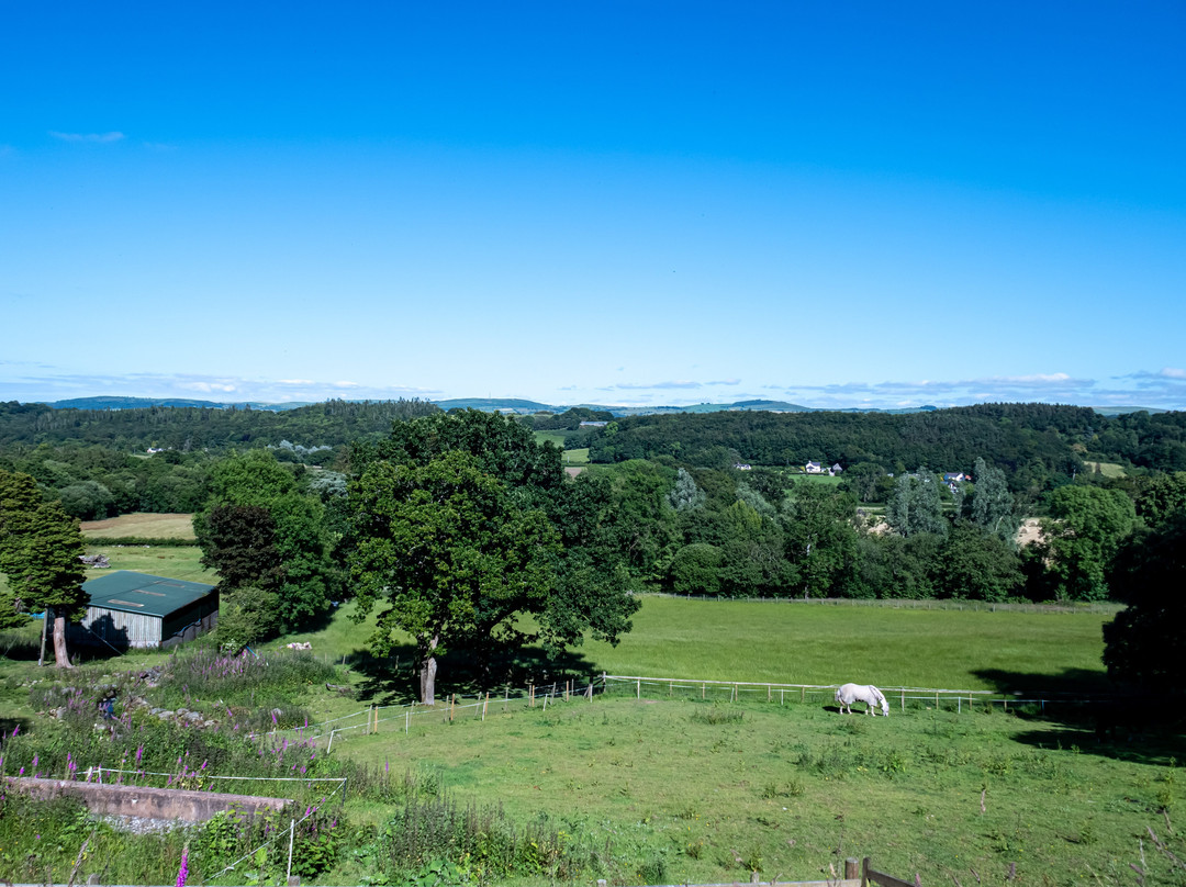 Coed Mawr Hall Bed & Breakfast主图