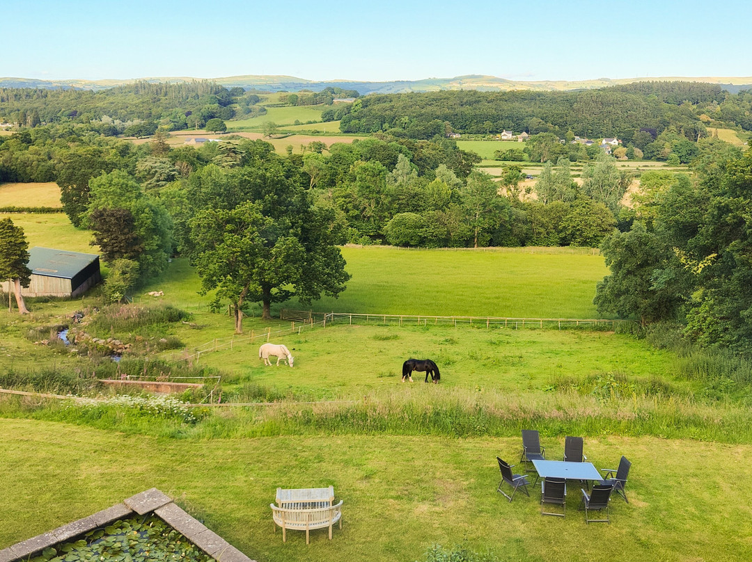 Coed Mawr Hall Bed & Breakfast主图