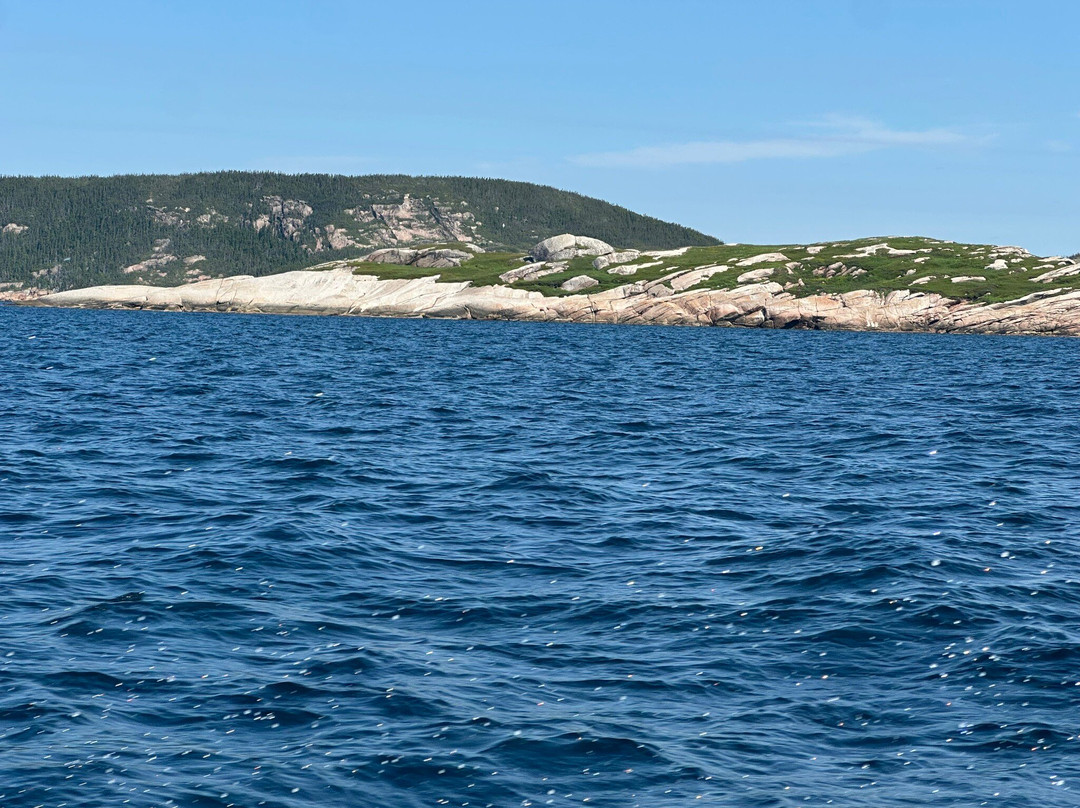 Hare Bay Adventures-Hare Bay必去景点