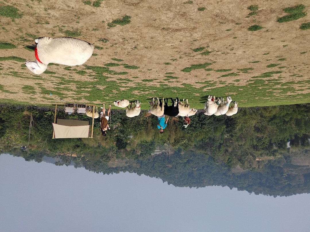 Maetaeng Elephant Park-夜登必去景点