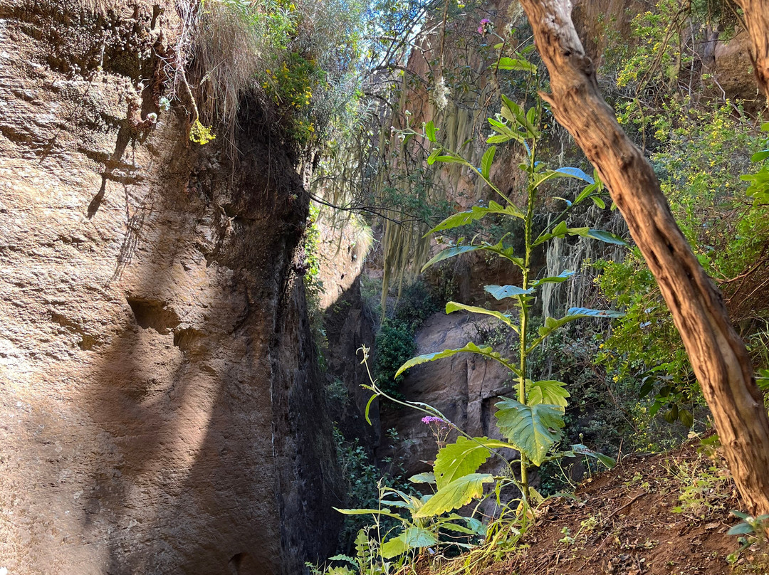 Natura Xtreme Tenerife-特纳里夫必去景点