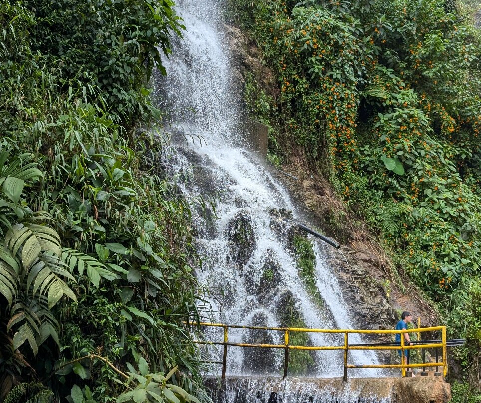 Rancho Saman-佩雷拉必去景点