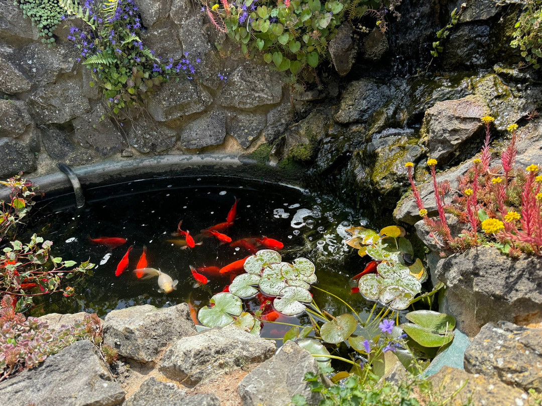 Cobham酒店住宿-Field View Bed and Breakfast