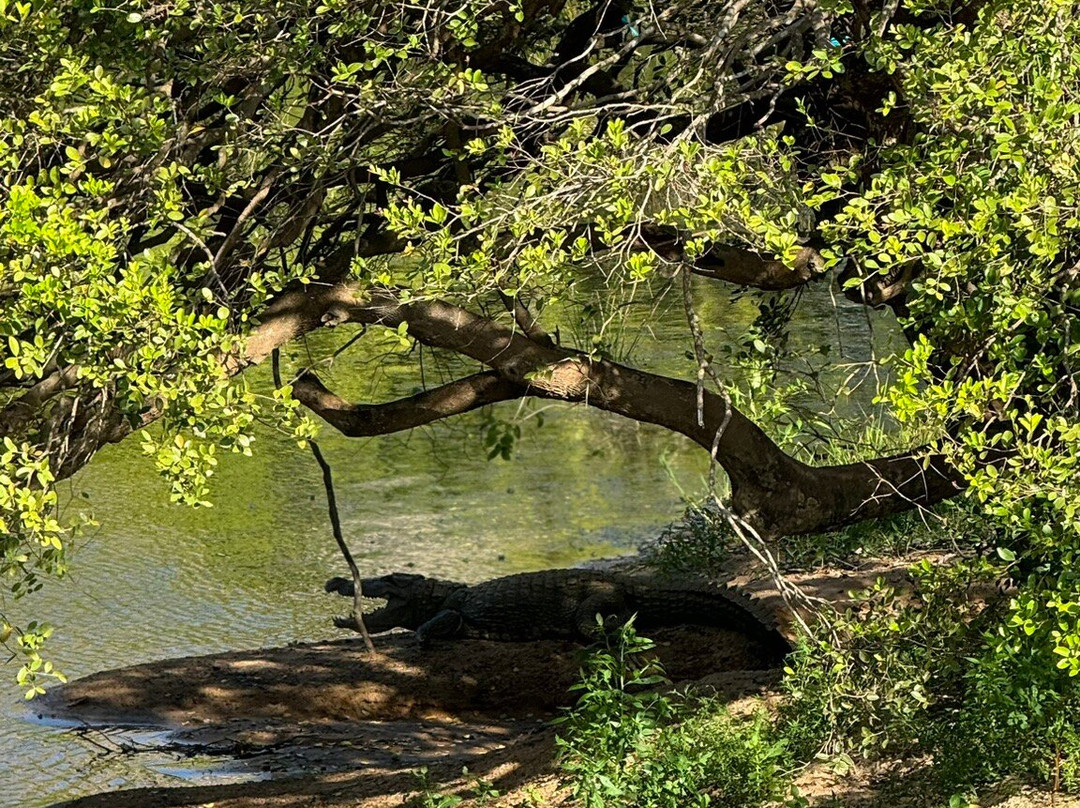 Travel Buddy - Sri Lanka-Palatuwa必去景点