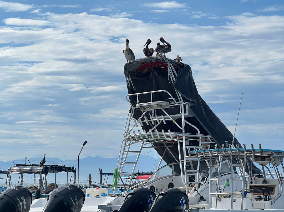 Explora Vallarta-瓦拉塔港必去景点