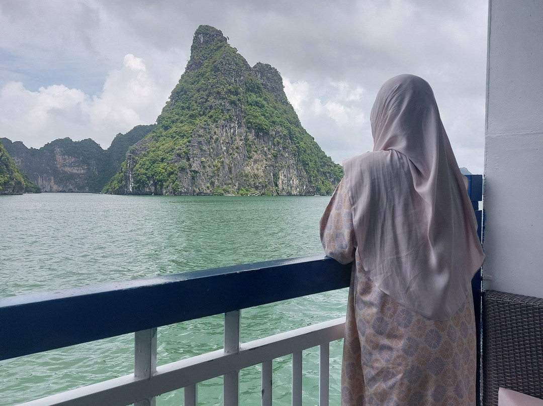 Lotus D'Orient Cruises-团洲岛必去景点