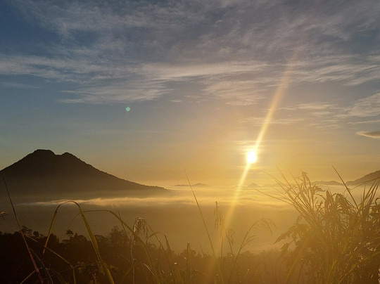 Suan Bali Private Driver & Tour Guide-乌布必去景点