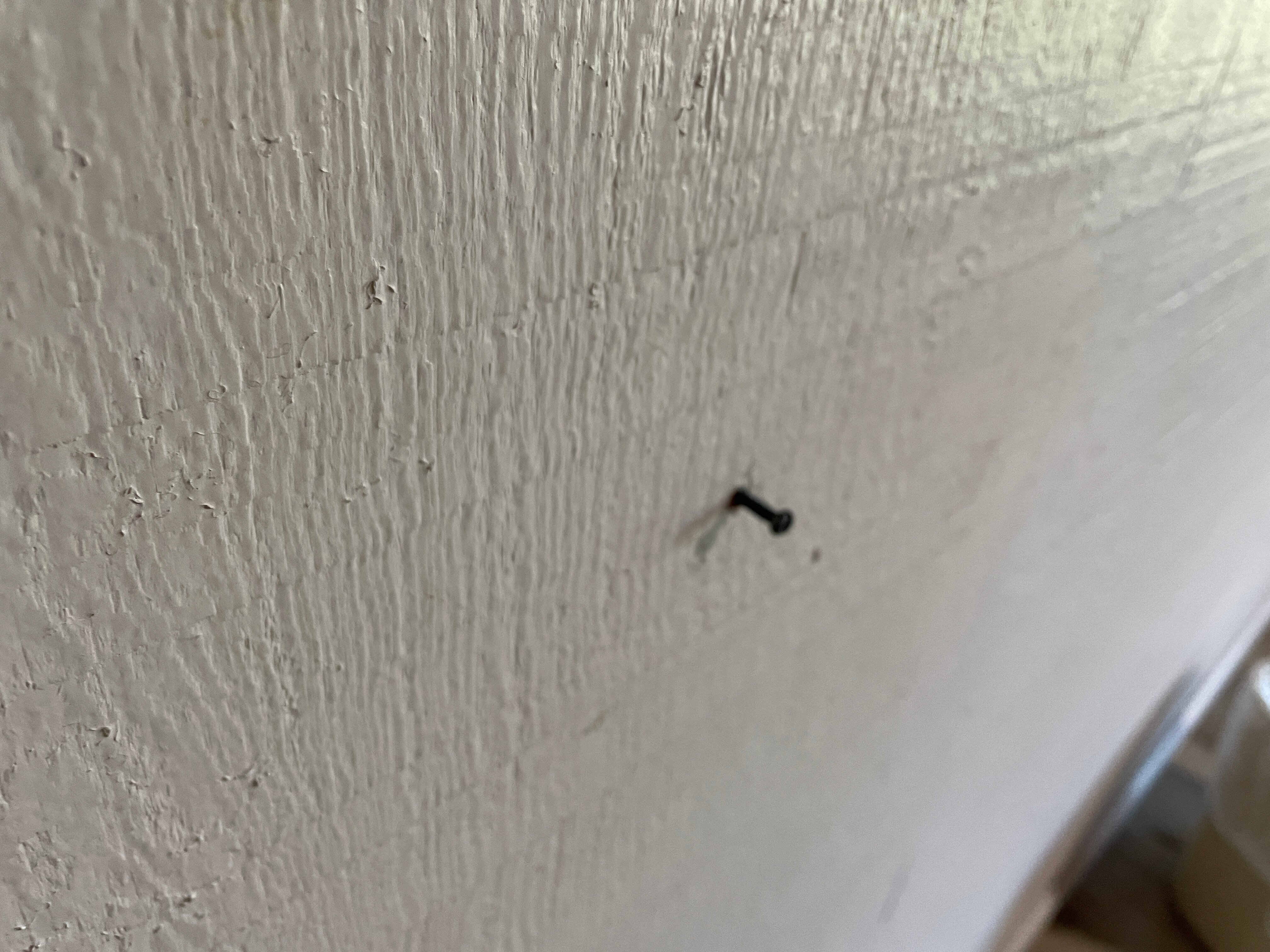 Alta Sierra Village Inn-客卧