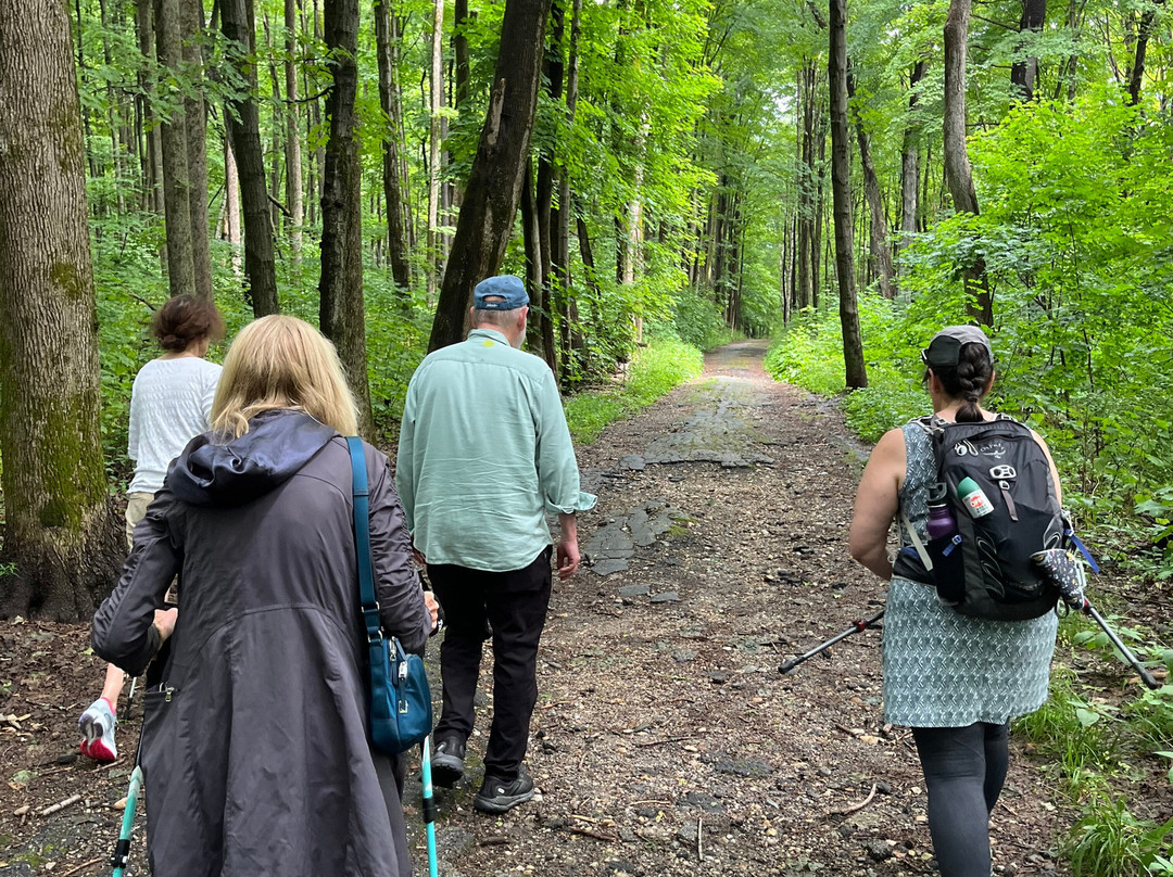 Berkshire Camino Guided Hikes-皮茨菲尔德必去景点