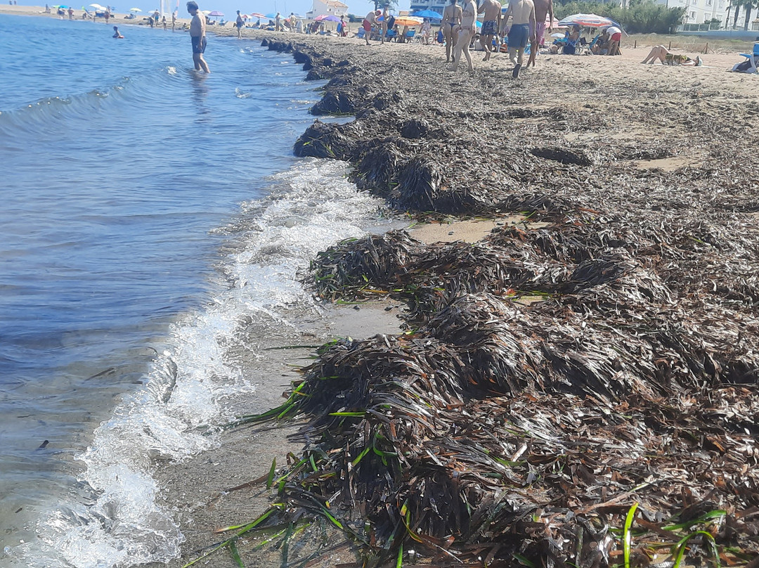 Playa Els Molins景点图片