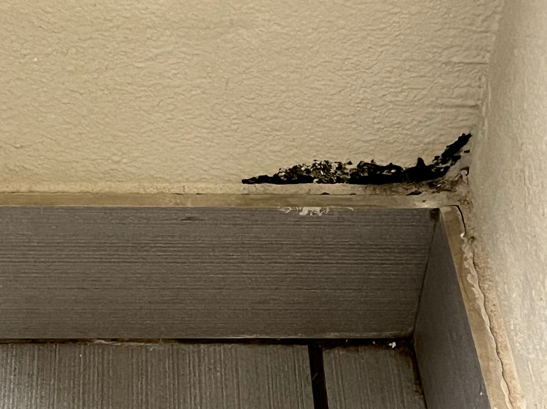 Best Western Plus Pauls Valley主图