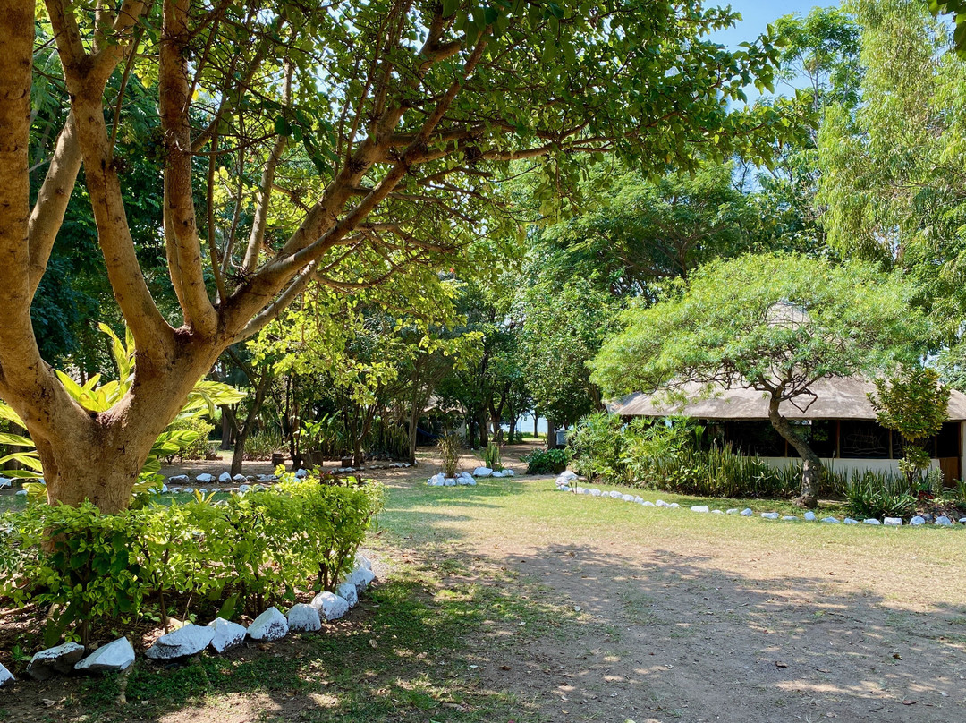 Wayando Beach Eco Lodge