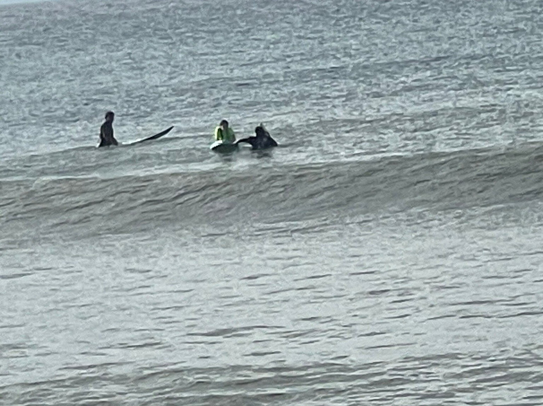 Surf School By The Wave景点图片