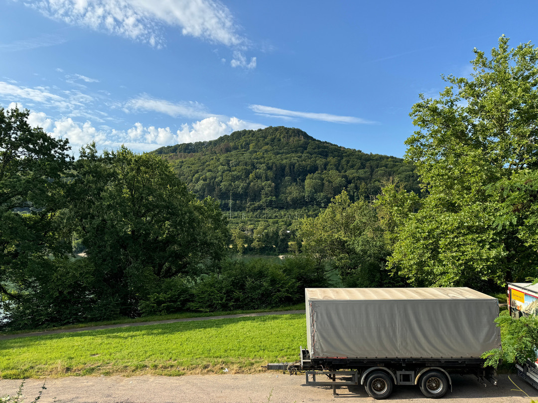 Hotel am Hochrhein主图