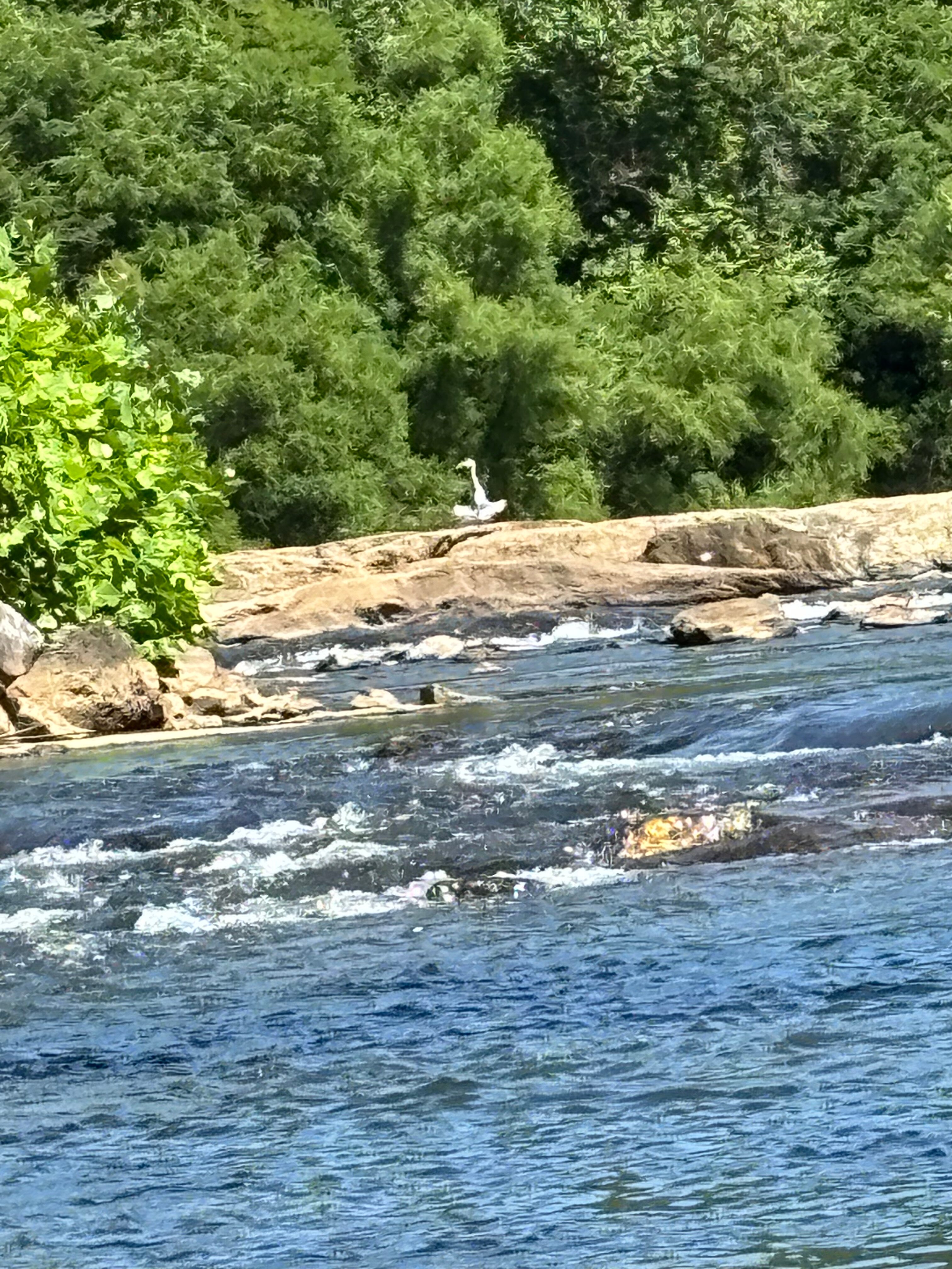 Dillsboro Inn-官方