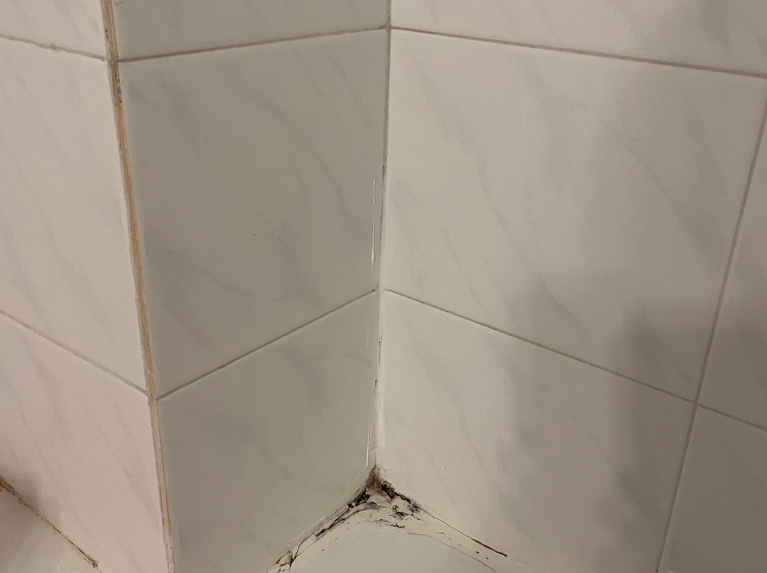 Hanioti Melathron Hotel主图