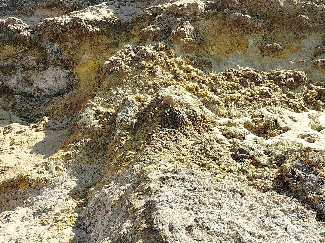 Regional Nature Reserve Tor Caldara-安济奥必去景点