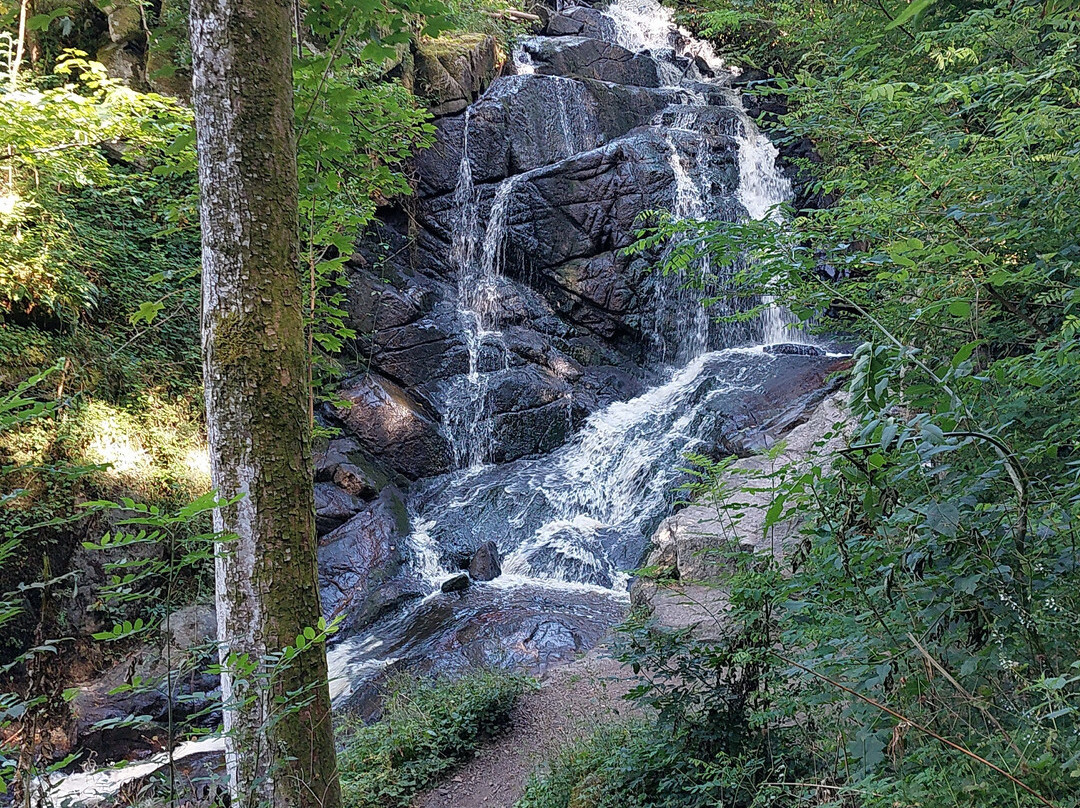 Gorges de Narvau-Lormes必去景点