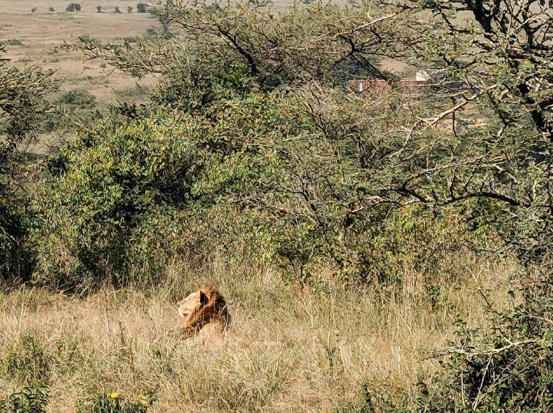 Grand Africa Experiences Ltd景点图片