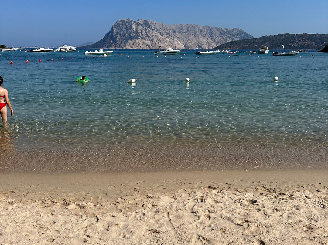 Le Farfalle - Cala Suaraccia Beach-San Teodoro必去景点