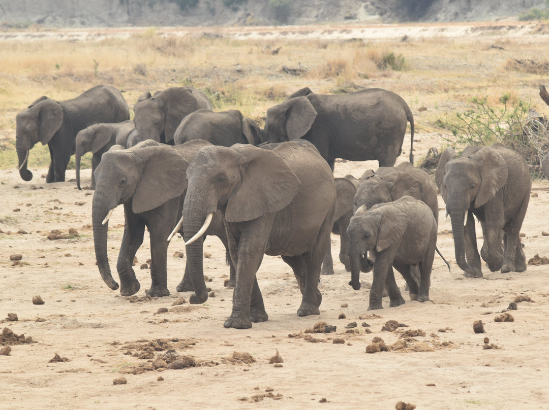 KILI PEACOCK ADVENTURES-莫西必去景点