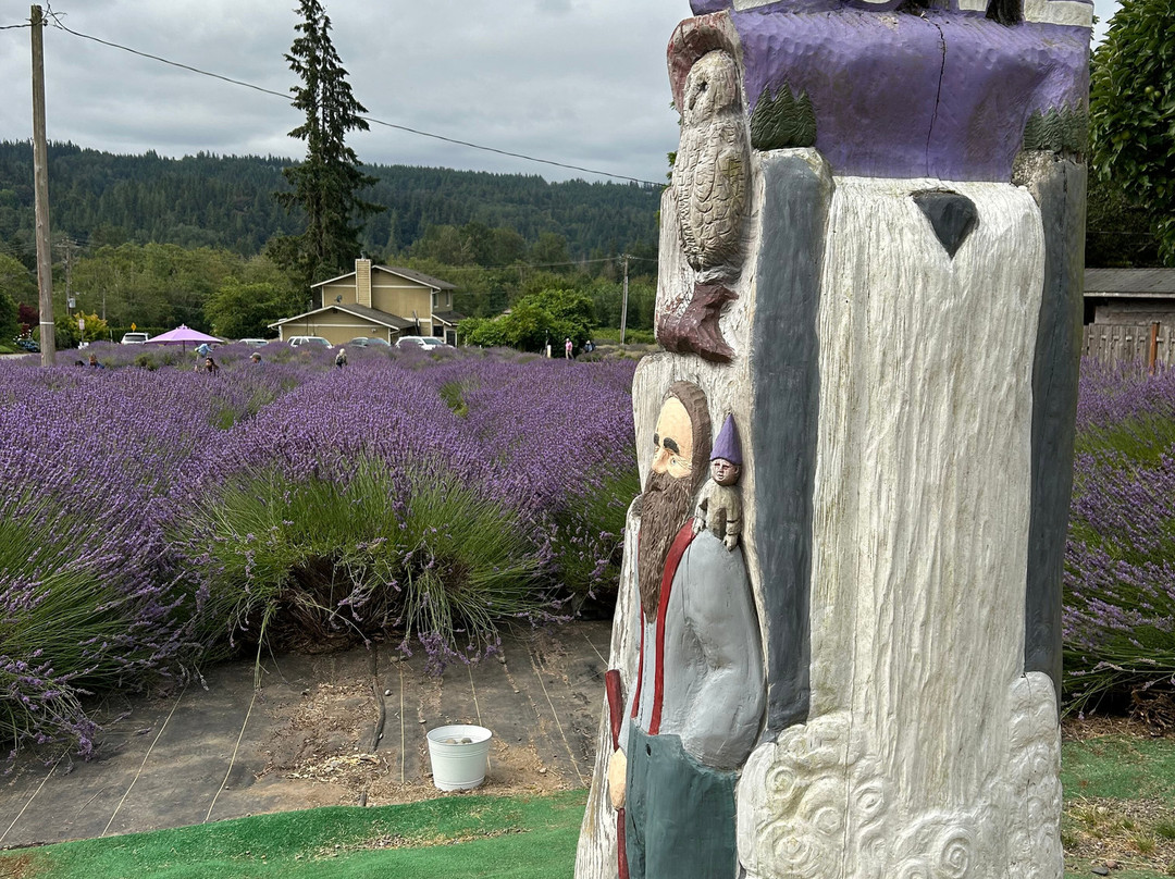 Snofalls Lavender Farm景点图片