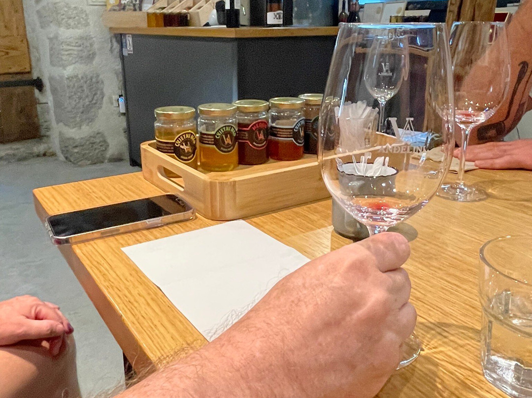 EatIstria Cooking Classes & Wine Tours景点图片