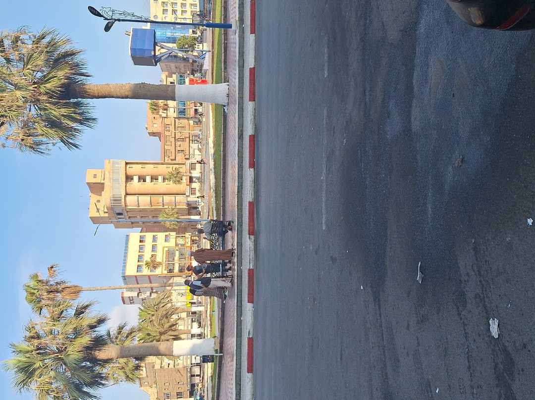 Calypso Home Oran主图