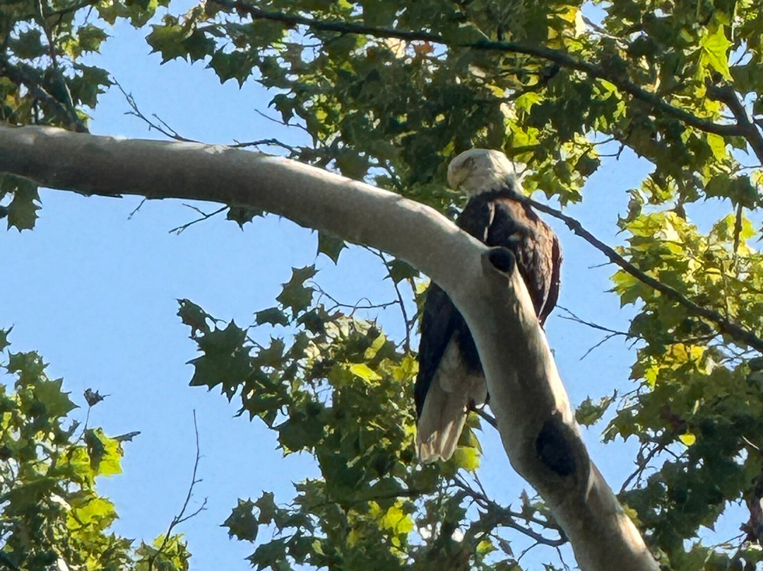 Green Acres Kayak Rental-Harrison必去景点