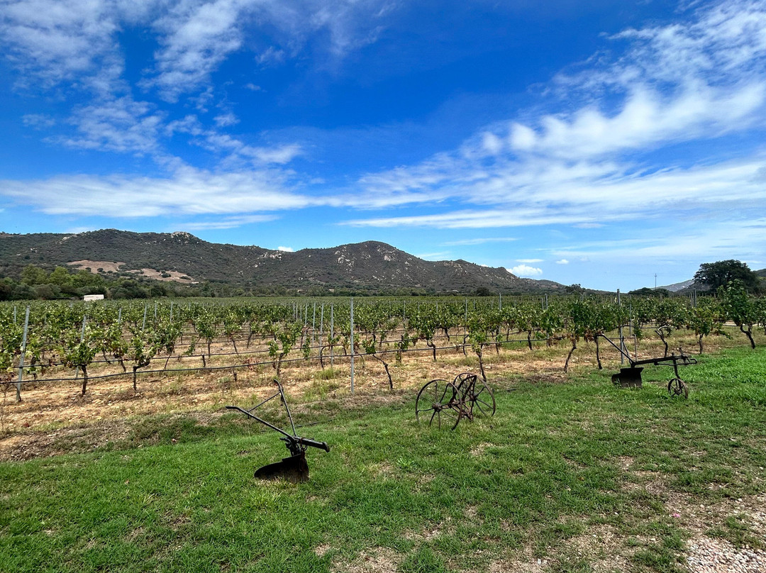 Vini Mura-Loiri Porto San Paolo必去景点