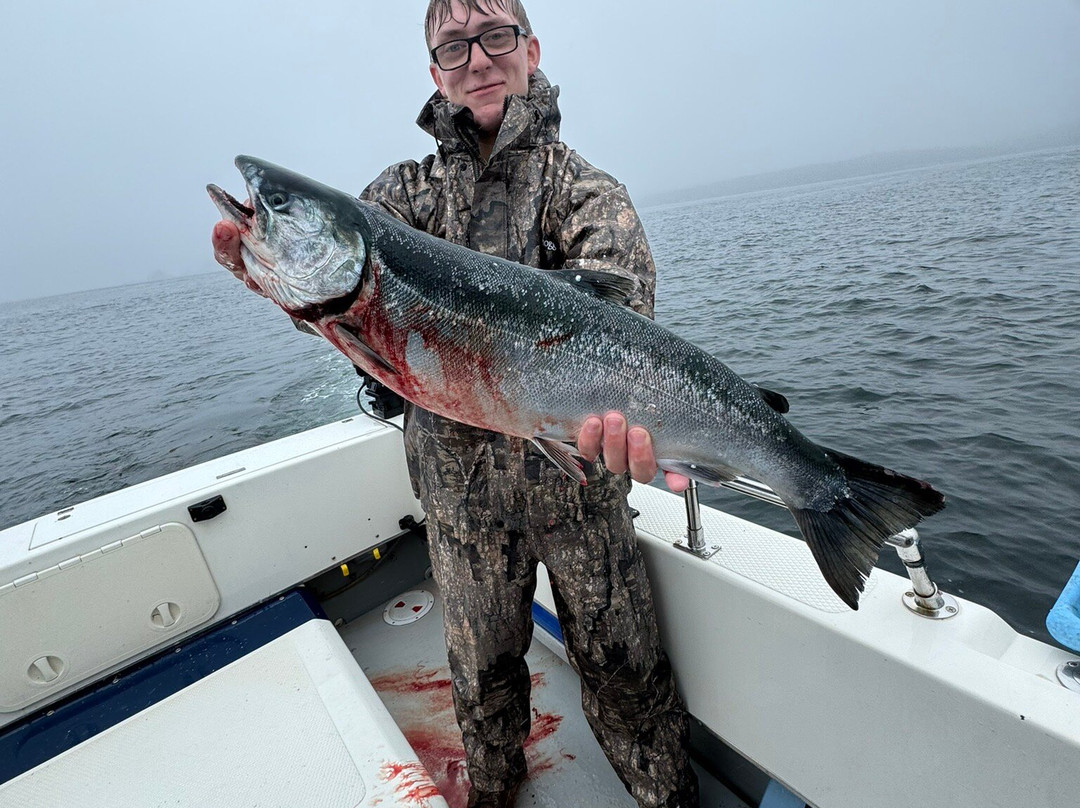 Jamestown Bay Bed and Breakfast主图