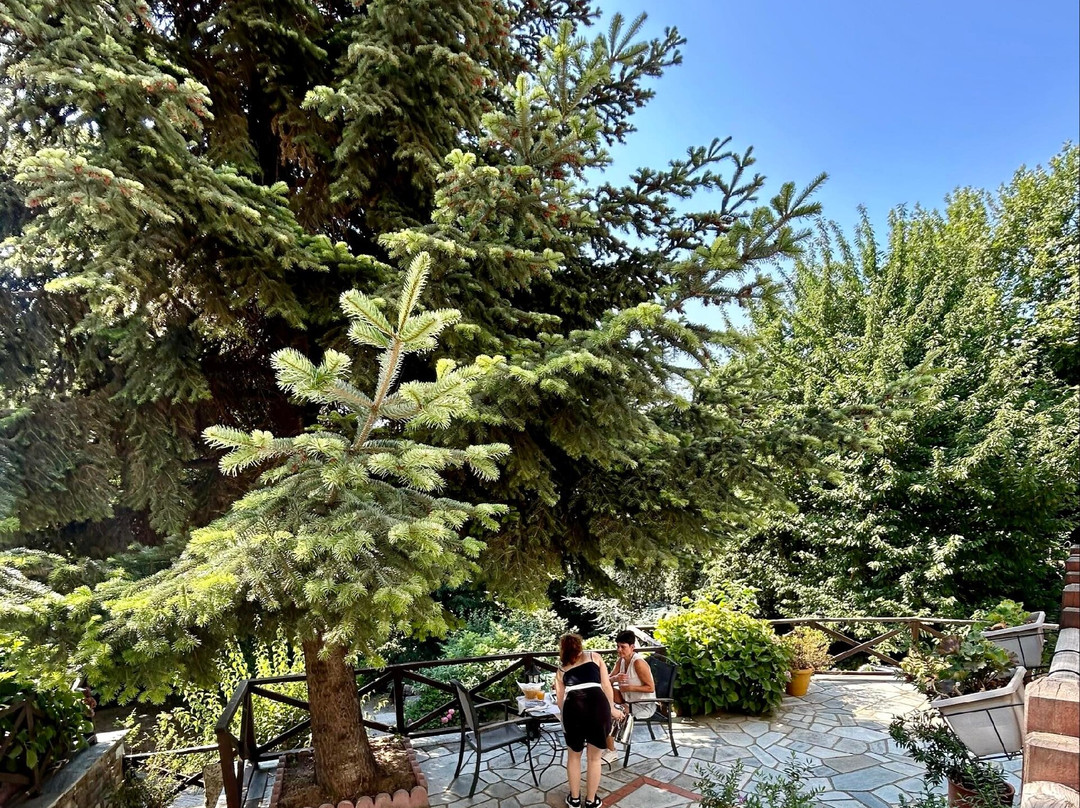 Amalthia Traditional Guesthouse主图