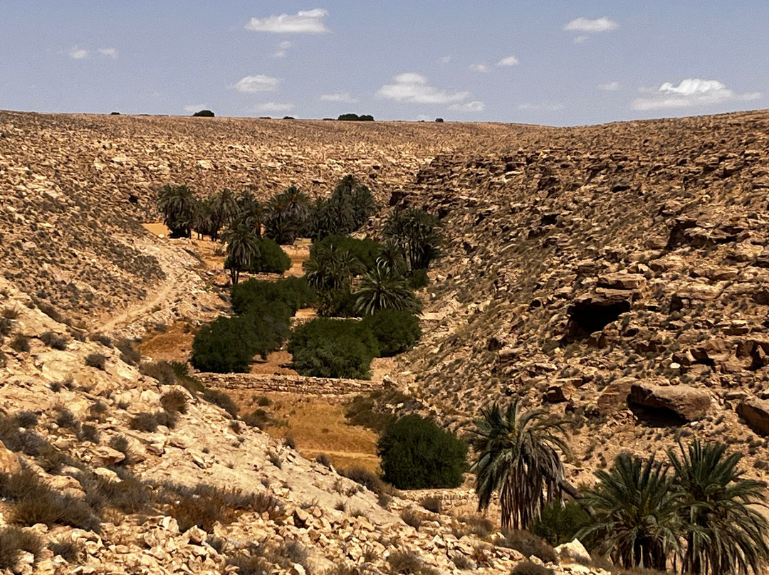 South Tunisia Adventures景点图片